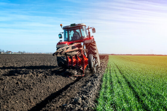 Transforming Kenya’s Agriculture: The Bottom Up Agenda Strategy for Food Security, Farmer Prosperity and Agro Industrial Growth